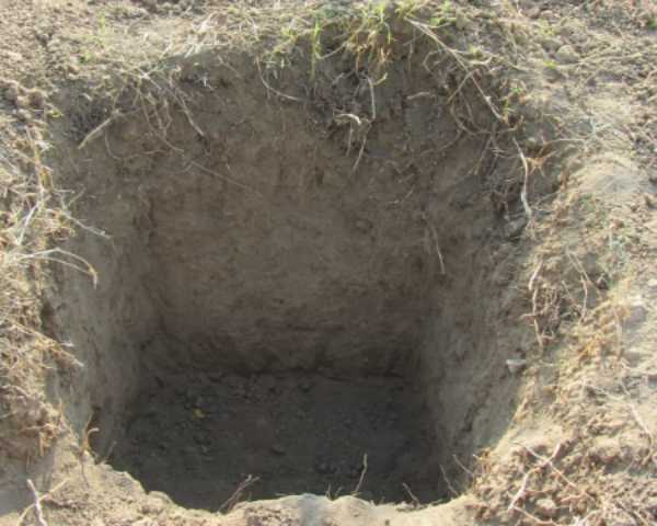Soil survey pit

